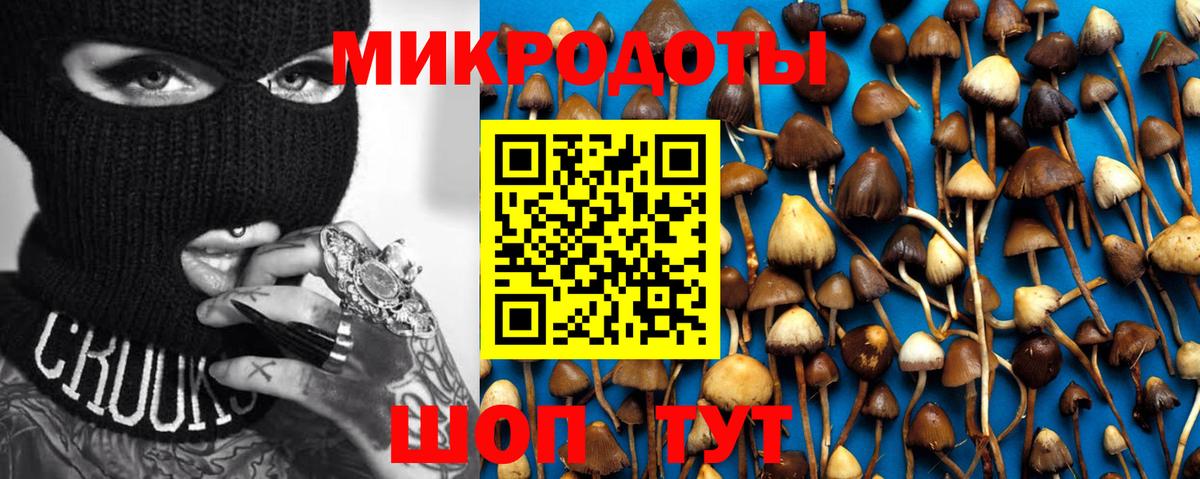 Галлюциногенные грибы прущие грибы Сургут
