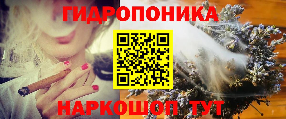 Бошки марихуана White Widow  Вход с VPN  Канабис планчик  Марихуана планчик  Сургут 